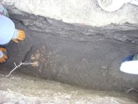 Cronica Cercetărilor Arheologice din România, Campania 2009. Raportul nr. 122