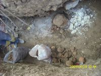 Cronica Cercetărilor Arheologice din România, Campania 2009. Raportul nr. 122