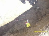 Cronica Cercetărilor Arheologice din România, Campania 2009. Raportul nr. 122