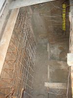 Cronica Cercetărilor Arheologice din România, Campania 2009. Raportul nr. 122
