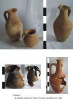Cronica Cercetărilor Arheologice din România, Campania 2009. Raportul nr. 123