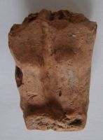 Cronica Cercetărilor Arheologice din România, Campania 2009. Raportul nr. 123