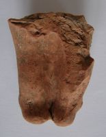 Cronica Cercetărilor Arheologice din România, Campania 2009. Raportul nr. 123