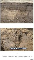 Cronica Cercetărilor Arheologice din România, Campania 2009. Raportul nr. 144