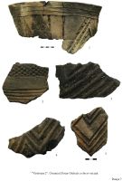 Cronica Cercetărilor Arheologice din România, Campania 2009. Raportul nr. 144