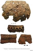 Cronica Cercetărilor Arheologice din România, Campania 2009. Raportul nr. 144