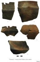 Cronica Cercetărilor Arheologice din România, Campania 2009. Raportul nr. 144