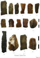 Cronica Cercetărilor Arheologice din România, Campania 2009. Raportul nr. 144