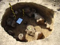 Cronica Cercetărilor Arheologice din România, Campania 2009. Raportul nr. 145