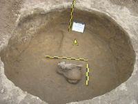 Cronica Cercetărilor Arheologice din România, Campania 2009. Raportul nr. 145