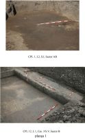 Cronica Cercetărilor Arheologice din România, Campania 2009. Raportul nr. 163