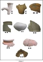 Cronica Cercetărilor Arheologice din România, Campania 2009. Raportul nr. 163