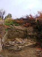 Cronica Cercetărilor Arheologice din România, Campania 2009. Raportul nr. 169