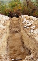 Cronica Cercetărilor Arheologice din România, Campania 2009. Raportul nr. 169