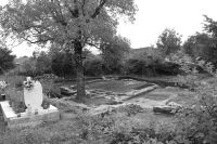 Cronica Cercetărilor Arheologice din România, Campania 2009. Raportul nr. 172
