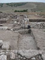Cronica Cercetărilor Arheologice din România, Campania 2009. Raportul nr. 1.<br /> Sectorul 02-sectorA-strada-planse.