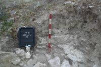 Cronica Cercetărilor Arheologice din România, Campania 2009. Raportul nr. 1.<br /> Sectorul 06-sectorC-planse.