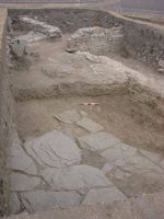 Cronica Cercetărilor Arheologice din România, Campania 2009. Raportul nr. 2