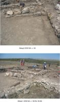 Cronica Cercetărilor Arheologice din România, Campania 2009. Raportul nr. 3