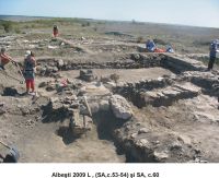 Cronica Cercetărilor Arheologice din România, Campania 2009. Raportul nr. 3