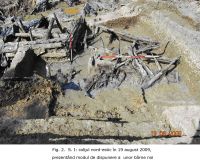 Cronica Cercetărilor Arheologice din România, Campania 2009. Raportul nr. 6