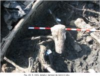 Cronica Cercetărilor Arheologice din România, Campania 2009. Raportul nr. 6