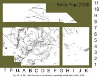 Cronica Cercetărilor Arheologice din România, Campania 2009. Raportul nr. 6