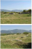 Cronica Cercetărilor Arheologice din România, Campania 2009. Raportul nr. 10