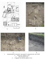 Cronica Cercetărilor Arheologice din România, Campania 2009. Raportul nr. 17