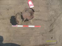 Cronica Cercetărilor Arheologice din România, Campania 2009. Raportul nr. 19