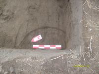 Cronica Cercetărilor Arheologice din România, Campania 2009. Raportul nr. 19