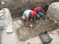 Cronica Cercetărilor Arheologice din România, Campania 2009. Raportul nr. 27