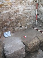 Cronica Cercetărilor Arheologice din România, Campania 2009. Raportul nr. 27