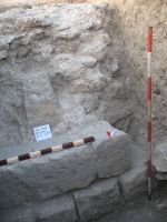 Cronica Cercetărilor Arheologice din România, Campania 2009. Raportul nr. 27