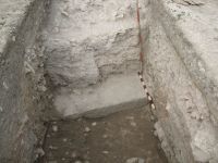 Cronica Cercetărilor Arheologice din România, Campania 2009. Raportul nr. 27