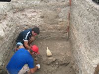 Cronica Cercetărilor Arheologice din România, Campania 2009. Raportul nr. 27