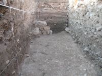 Cronica Cercetărilor Arheologice din România, Campania 2009. Raportul nr. 27