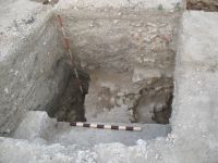 Cronica Cercetărilor Arheologice din România, Campania 2009. Raportul nr. 27