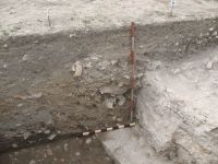 Cronica Cercetărilor Arheologice din România, Campania 2009. Raportul nr. 27
