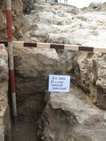 Cronica Cercetărilor Arheologice din România, Campania 2009. Raportul nr. 27