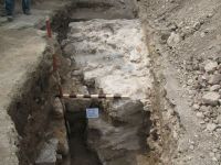 Cronica Cercetărilor Arheologice din România, Campania 2009. Raportul nr. 27