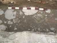 Cronica Cercetărilor Arheologice din România, Campania 2009. Raportul nr. 27