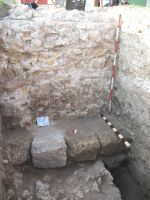 Cronica Cercetărilor Arheologice din România, Campania 2009. Raportul nr. 27