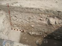 Cronica Cercetărilor Arheologice din România, Campania 2009. Raportul nr. 27