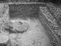 Cronica Cercetărilor Arheologice din România, Campania 2009. Raportul nr. 29