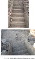 Cronica Cercetărilor Arheologice din România, Campania 2009. Raportul nr. 31