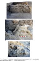 Cronica Cercetărilor Arheologice din România, Campania 2009. Raportul nr. 31