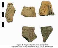 Cronica Cercetărilor Arheologice din România, Campania 2009. Raportul nr. 32