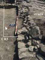 Cronica Cercetărilor Arheologice din România, Campania 2009. Raportul nr. 33.<br /> Sectorul 01-poze-BasParvan.
