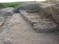 Cronica Cercetărilor Arheologice din România, Campania 2009. Raportul nr. 33.<br /> Sectorul 03-poze-sectorT.